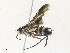  ( - CBG-A34324-B05)  @11 [ ] CreativeCommons - Attribution Share - Alike (2024) CBG Photography Group Centre for Biodiversity Genomics