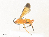  ( - CBG-A34324-D07)  @11 [ ] CreativeCommons - Attribution Share - Alike (2024) CBG Photography Group Centre for Biodiversity Genomics