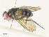  ( - CBG-A34324-G05)  @11 [ ] CreativeCommons - Attribution Share - Alike (2024) CBG Photography Group Centre for Biodiversity Genomics