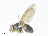  ( - CBG-A34324-G12)  @11 [ ] CreativeCommons - Attribution Share - Alike (2024) CBG Photography Group Centre for Biodiversity Genomics
