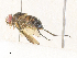  ( - CBG-A35189-H03)  @11 [ ] CreativeCommons - Attribution Share - Alike (2024) CBG Photography Group Centre for Biodiversity Genomics