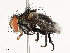  ( - CBG-A67027-A03)  @11 [ ] CreativeCommons - Attribution Share - Alike (2025) CBG Photography Group Centre for Biodiversity Genomics