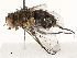  ( - CBG-A67027-B11)  @11 [ ] CreativeCommons - Attribution Share - Alike (2025) CBG Photography Group Centre for Biodiversity Genomics