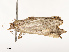  ( - CBG-A67029-A10)  @11 [ ] CreativeCommons - Attribution Share - Alike (2025) CBG Photography Group Centre for Biodiversity Genomics