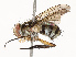  ( - CBG-A67029-C03)  @11 [ ] CreativeCommons - Attribution Share - Alike (2025) CBG Photography Group Centre for Biodiversity Genomics