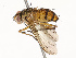  ( - CBG-A67029-C09)  @11 [ ] CreativeCommons - Attribution Share - Alike (2025) CBG Photography Group Centre for Biodiversity Genomics