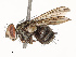  ( - CBG-A67029-C11)  @11 [ ] CreativeCommons - Attribution Share - Alike (2025) CBG Photography Group Centre for Biodiversity Genomics