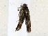  ( - CBG-A67108-G03)  @11 [ ] CreativeCommons - Attribution Share - Alike (2025) CBG Photography Group Centre for Biodiversity Genomics