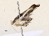  ( - CBG-A67108-G07)  @11 [ ] CreativeCommons - Attribution Share - Alike (2025) CBG Photography Group Centre for Biodiversity Genomics