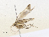  ( - CBG-A67108-H08)  @11 [ ] CreativeCommons - Attribution Share - Alike (2025) CBG Photography Group Centre for Biodiversity Genomics