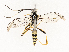  ( - CBG-A67879-A07)  @11 [ ] CreativeCommons - Attribution Share - Alike (2025) CBG Photography Group Centre for Biodiversity Genomics