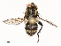  ( - CBG-A67880-B12)  @11 [ ] CreativeCommons - Attribution Share - Alike (2025) CBG Photography Group Centre for Biodiversity Genomics