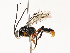  ( - CBG-A67902-A02)  @11 [ ] CreativeCommons - Attribution Share - Alike (2025) CBG Photography Group Centre for Biodiversity Genomics