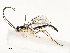  ( - CBG-A67902-B05)  @11 [ ] CreativeCommons - Attribution Share - Alike (2025) CBG Photography Group Centre for Biodiversity Genomics
