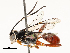 ( - CBG-A67904-B03)  @11 [ ] CreativeCommons - Attribution Share - Alike (2025) CBG Photography Group Centre for Biodiversity Genomics