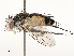  ( - CBG-A67904-E11)  @11 [ ] CreativeCommons - Attribution Share - Alike (2025) CBG Photography Group Centre for Biodiversity Genomics