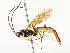 ( - CBG-A67905-B11)  @11 [ ] CreativeCommons - Attribution Share - Alike (2025) CBG Photography Group Centre for Biodiversity Genomics
