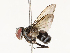  ( - CBG-A67023-A09)  @11 [ ] CreativeCommons - Attribution Share - Alike (2025) CBG Photography Group Centre for Biodiversity Genomics