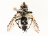  ( - CBG-A67023-E12)  @11 [ ] CreativeCommons - Attribution Share - Alike (2025) CBG Photography Group Centre for Biodiversity Genomics