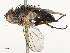  ( - CBG-A67024-A06)  @11 [ ] CreativeCommons - Attribution Share - Alike (2025) CBG Photography Group Centre for Biodiversity Genomics