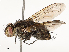  ( - CBG-A67024-E03)  @11 [ ] CreativeCommons - Attribution Share - Alike (2025) CBG Photography Group Centre for Biodiversity Genomics
