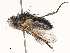  ( - CBG-A67806-D11)  @11 [ ] CreativeCommons - Attribution Share - Alike (2025) CBG Photography Group Centre for Biodiversity Genomics