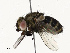  ( - CBG-A67859-A02)  @11 [ ] CreativeCommons - Attribution Share - Alike (2025) CBG Photography Group Centre for Biodiversity Genomics
