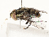  ( - CBG-A67898-F08)  @11 [ ] CreativeCommons - Attribution Share - Alike (2025) CBG Photography Group Centre for Biodiversity Genomics