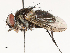  ( - CBG-A67899-A06)  @11 [ ] CreativeCommons - Attribution Share - Alike (2025) CBG Photography Group Centre for Biodiversity Genomics