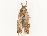  ( - CBG-A67899-C07)  @11 [ ] CreativeCommons - Attribution Share - Alike (2025) CBG Photography Group Centre for Biodiversity Genomics