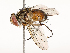  ( - CBG-A67899-E05)  @11 [ ] CreativeCommons - Attribution Share - Alike (2025) CBG Photography Group Centre for Biodiversity Genomics