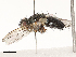  ( - CBG-A67899-F08)  @11 [ ] CreativeCommons - Attribution Share - Alike (2025) CBG Photography Group Centre for Biodiversity Genomics