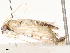  ( - CBG-A67900-E02)  @11 [ ] CreativeCommons - Attribution Share - Alike (2025) CBG Photography Group Centre for Biodiversity Genomics
