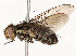 ( - CBG-A72926-F10)  @11 [ ] CreativeCommons - Attribution Share - Alike (2025) CBG Photography Group Centre for Biodiversity Genomics