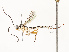  ( - CBG-A67842-B12)  @11 [ ] CreativeCommons - Attribution Share - Alike (2025) CBG Photography Group Centre for Biodiversity Genomics