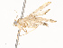  ( - CBG-A67842-E01)  @11 [ ] CreativeCommons - Attribution Share - Alike (2025) CBG Photography Group Centre for Biodiversity Genomics