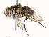  ( - CBG-A67842-H03)  @11 [ ] CreativeCommons - Attribution Share - Alike (2025) CBG Photography Group Centre for Biodiversity Genomics