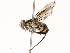  ( - CBG-A67845-H10)  @11 [ ] CreativeCommons - Attribution Share - Alike (2025) CBG Photography Group Centre for Biodiversity Genomics