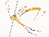  ( - CBG-A67847-F01)  @11 [ ] CreativeCommons - Attribution Share - Alike (2025) CBG Photography Group Centre for Biodiversity Genomics