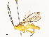  ( - CBG-A67848-G03)  @11 [ ] CreativeCommons - Attribution Share - Alike (2025) CBG Photography Group Centre for Biodiversity Genomics