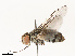  ( - CBG-A67849-E12)  @11 [ ] CreativeCommons - Attribution Share - Alike (2025) CBG Photography Group Centre for Biodiversity Genomics