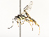  ( - CBG-A67850-C10)  @11 [ ] CreativeCommons - Attribution Share - Alike (2025) CBG Photography Group Centre for Biodiversity Genomics