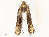  ( - CBG-A67850-F12)  @11 [ ] CreativeCommons - Attribution Share - Alike (2025) CBG Photography Group Centre for Biodiversity Genomics