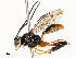  ( - CBG-A67854-D01)  @11 [ ] CreativeCommons - Attribution Share - Alike (2025) CBG Photography Group Centre for Biodiversity Genomics