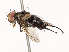  ( - CBG-A67945-C02)  @11 [ ] CreativeCommons - Attribution Share - Alike (2025) CBG Photography Group Centre for Biodiversity Genomics