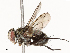  ( - CBG-A67956-H03)  @11 [ ] CreativeCommons - Attribution Share - Alike (2025) CBG Photography Group Centre for Biodiversity Genomics