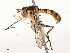  ( - CBG-A72918-B08)  @11 [ ] CreativeCommons - Attribution Share - Alike (2025) CBG Photography Group Centre for Biodiversity Genomics