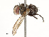  ( - CBG-A72918-C09)  @11 [ ] CreativeCommons - Attribution Share - Alike (2025) CBG Photography Group Centre for Biodiversity Genomics