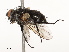  ( - CBG-A72918-D02)  @11 [ ] CreativeCommons - Attribution Share - Alike (2025) CBG Photography Group Centre for Biodiversity Genomics