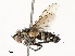  ( - CBG-A72933-D03)  @11 [ ] CreativeCommons - Attribution Share - Alike (2025) CBG Photography Group Centre for Biodiversity Genomics